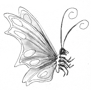 Schmetterling, Illustration Manfred Schmidt